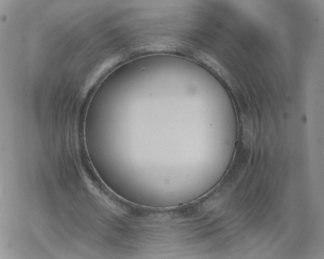 X0000069390482200605192218