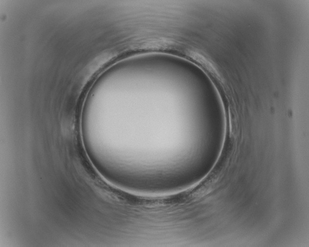 X0000069390483200605192218