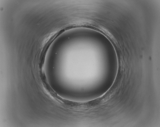 X0000069390485200605192218