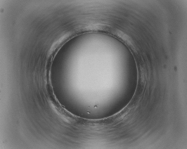 X0000069390486200605192217