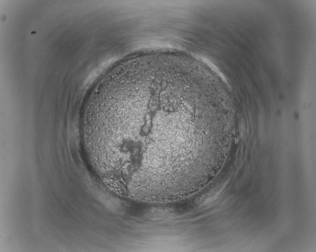 X0000069390487200605192217