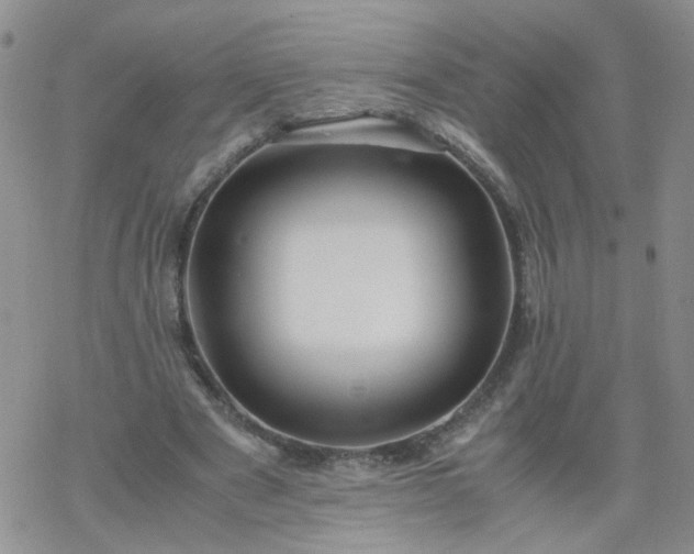 X0000069390489200605192217