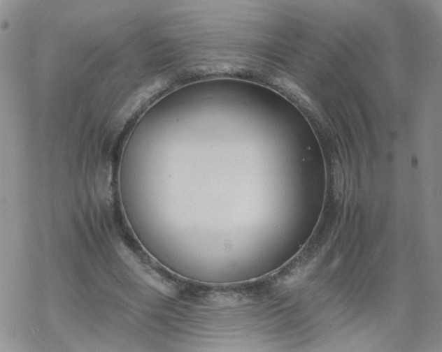 X0000069390490200605192217