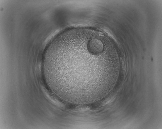 X0000069390491200605192217