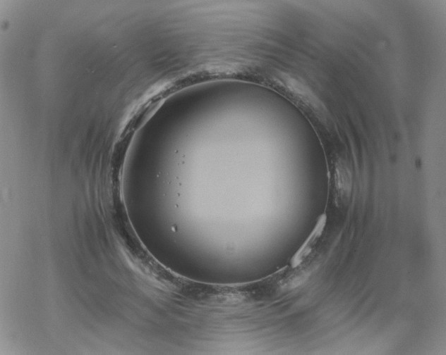 X0000069390492200605192217