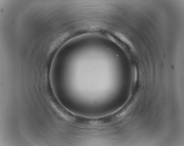 X0000069390493200605192217