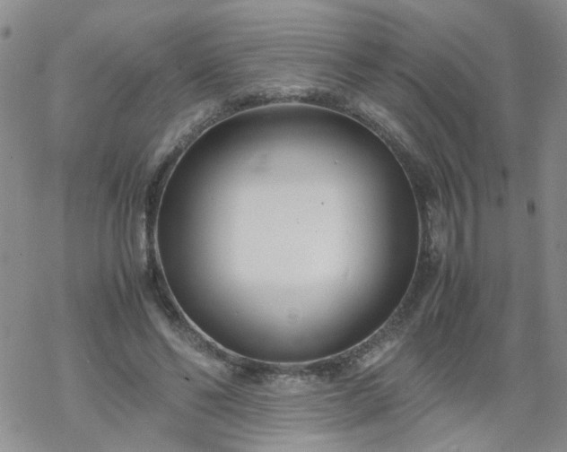 X0000069390494200605192217