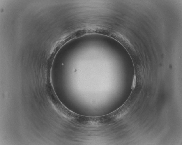 X0000069390496200605192217