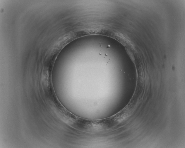 X0000069390498200605192217