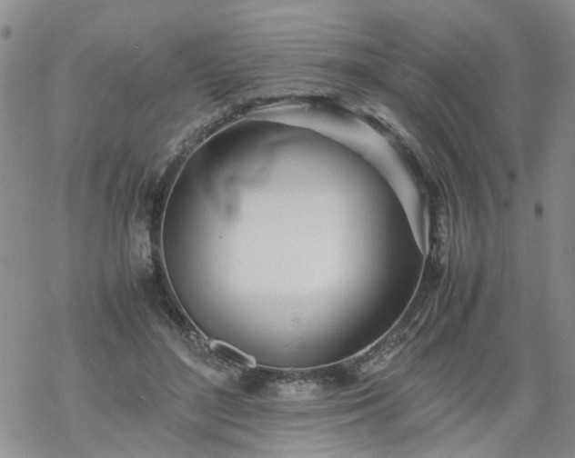 X0000069390500200605192217