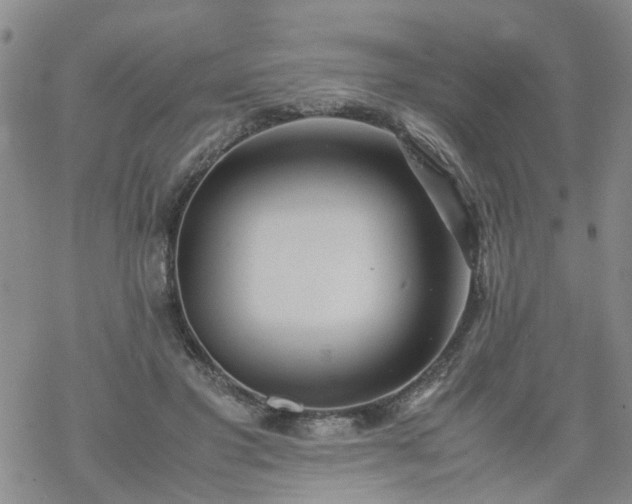 X0000069390501200605192217