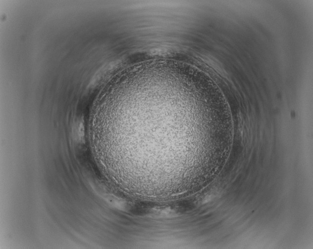 X0000069390502200605192217