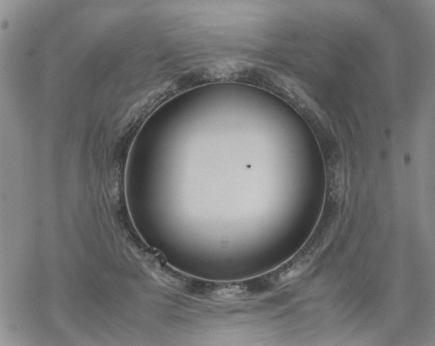 X0000069390505200605192217