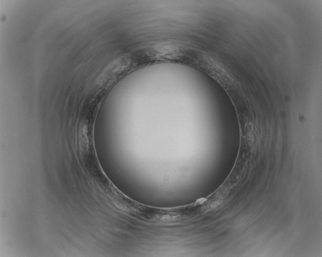 X0000069390506200605192217