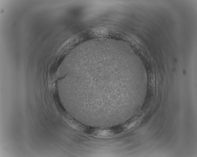 X0000069390507200605192217