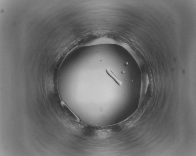 X0000069390508200605192217