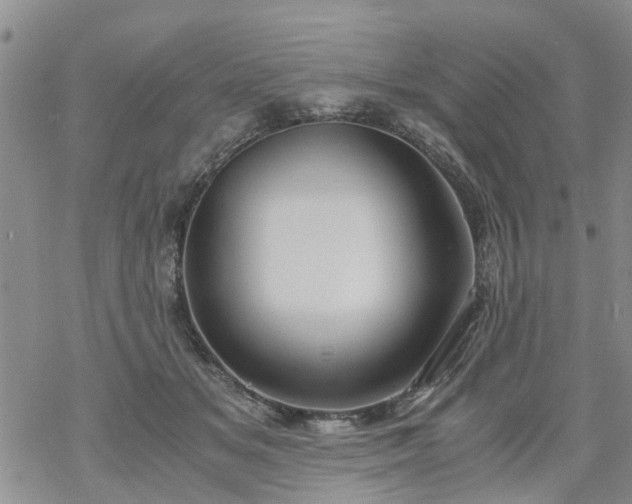 X0000069390509200605192217