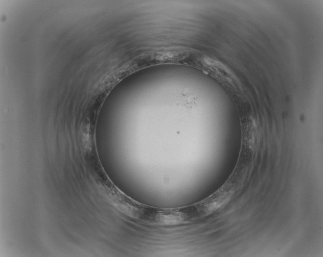 X0000069390510200605192217