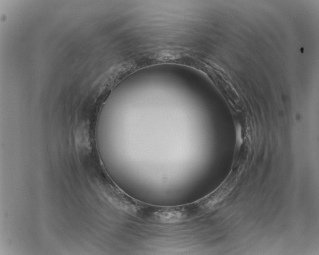 X0000069390512200605192217