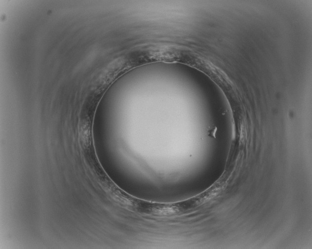 X0000069390513200605192217