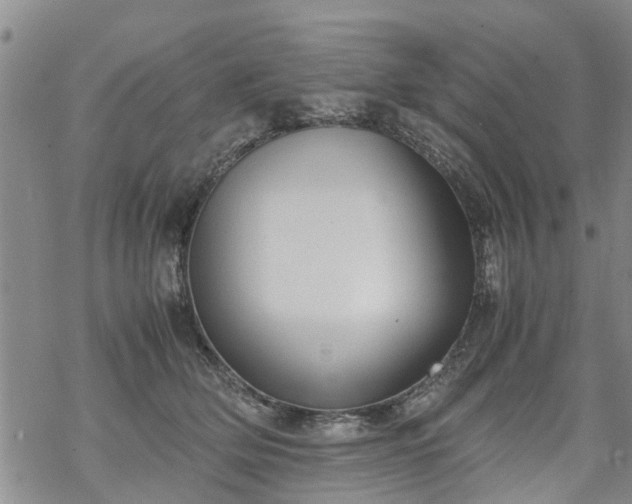 X0000069390514200605192217