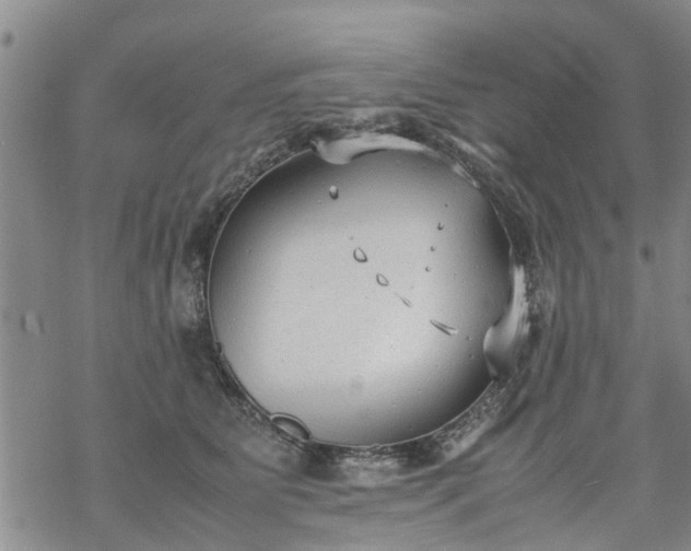 X0000069390515200605192217