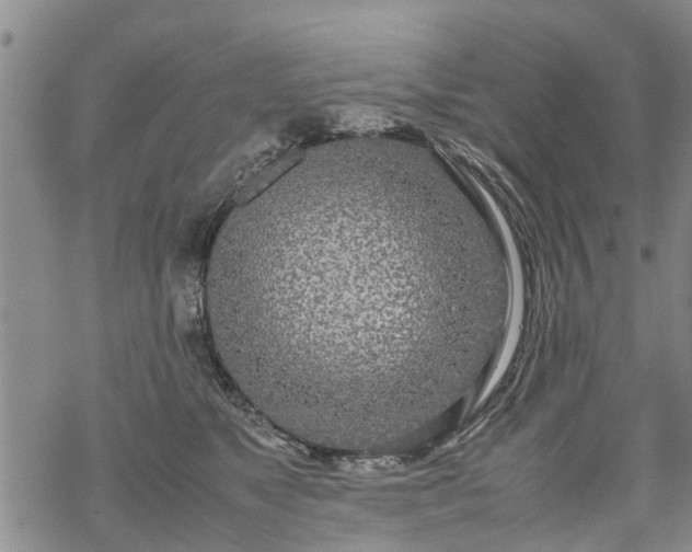 X0000069390517200605192217