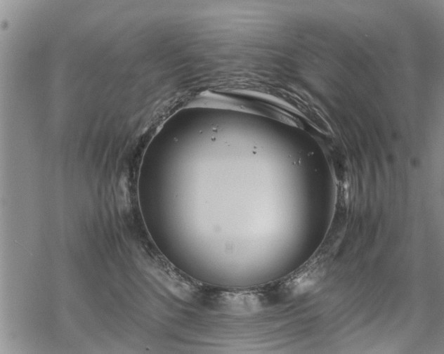 X0000069390520200605192217