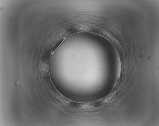 X0000069390521200605192217