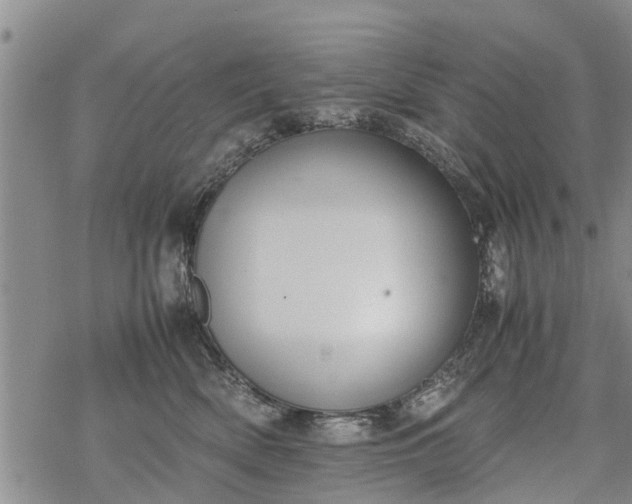 X0000069390522200605192217