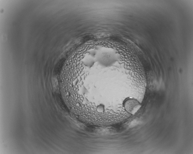 X0000069390523200605192217