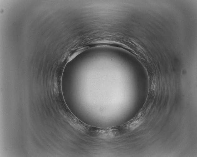 X0000069390524200605192217