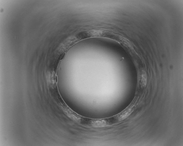 X0000069390525200605192217