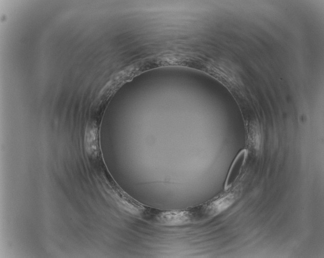 X0000069390526200605192217