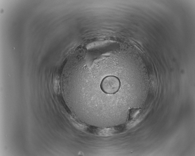 X0000069390527200605192217