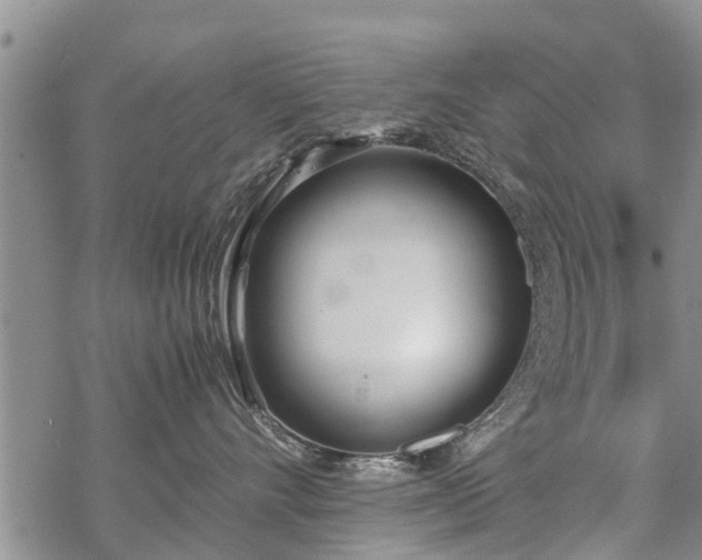 X0000069390528200605192217