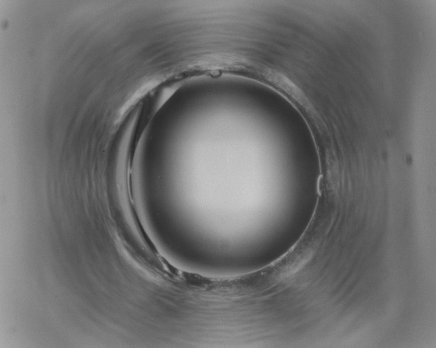 X0000069390530200605192216