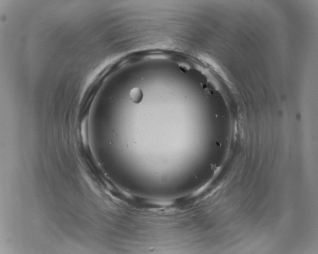 X0000069390532200605192216