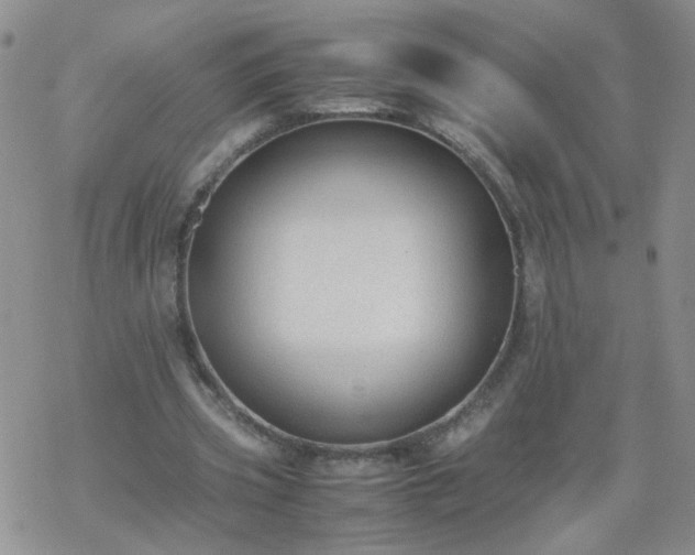 X0000069390533200605192216