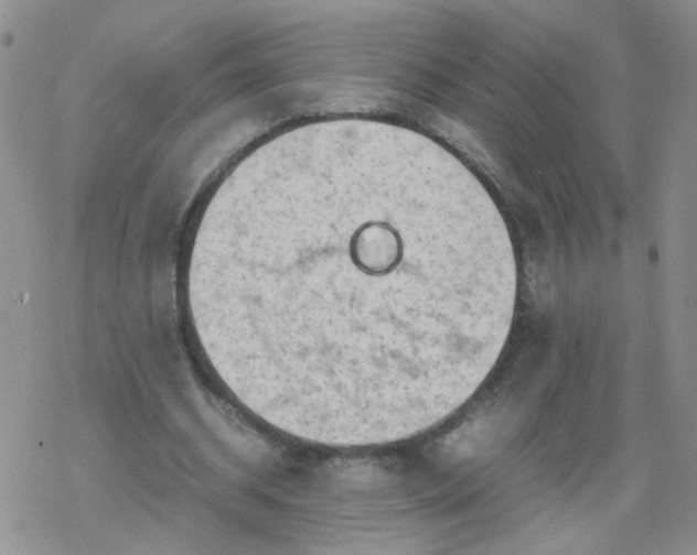 X0000069390534200605192216