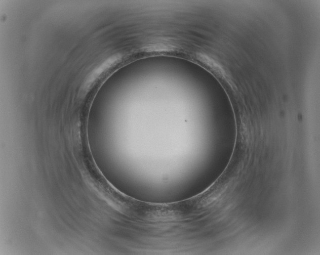 X0000069390535200605192216