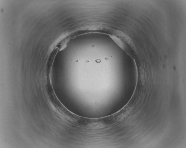 X0000069390536200605192216