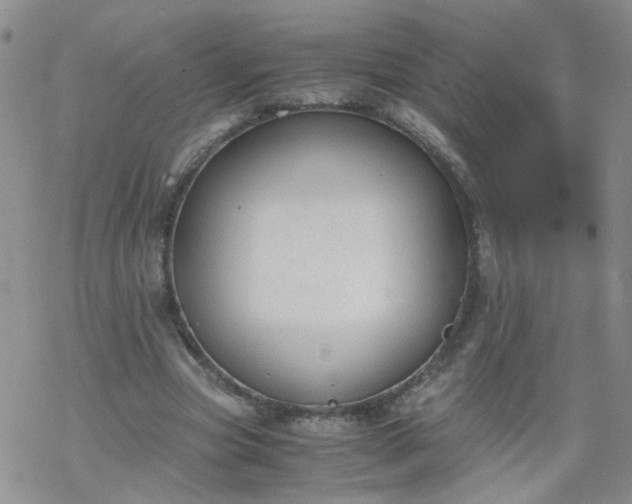 X0000069390537200605192216