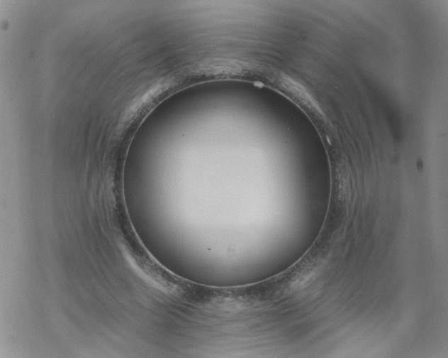 X0000069390538200605192216