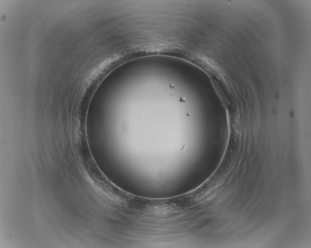 X0000069390540200605192216