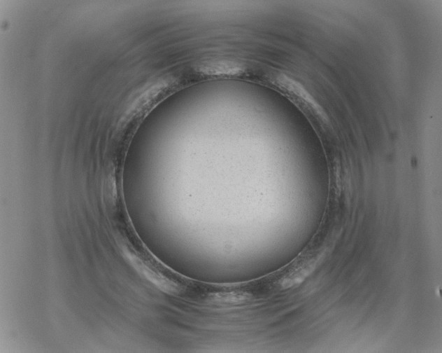 X0000069390541200605192216