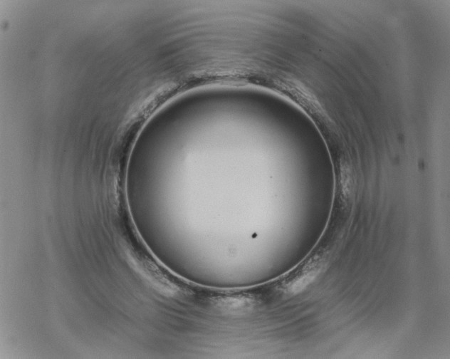 X0000069390542200605192216