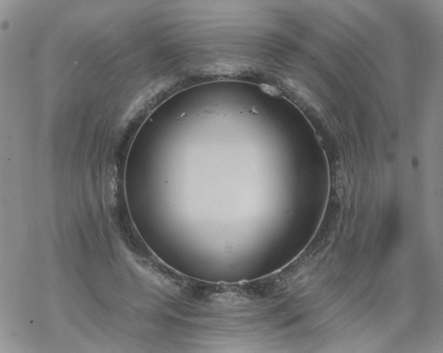 X0000069390544200605192216