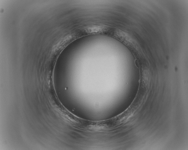 X0000069390545200605192216