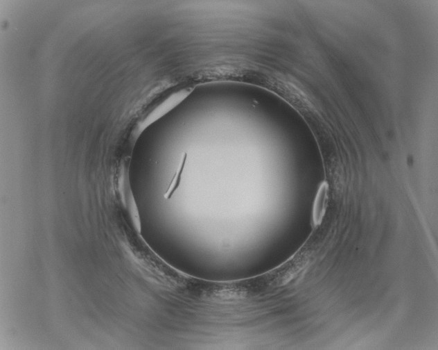 X0000069390546200605192216